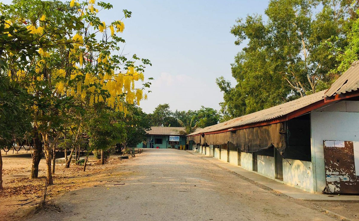 BHSOH school deserted